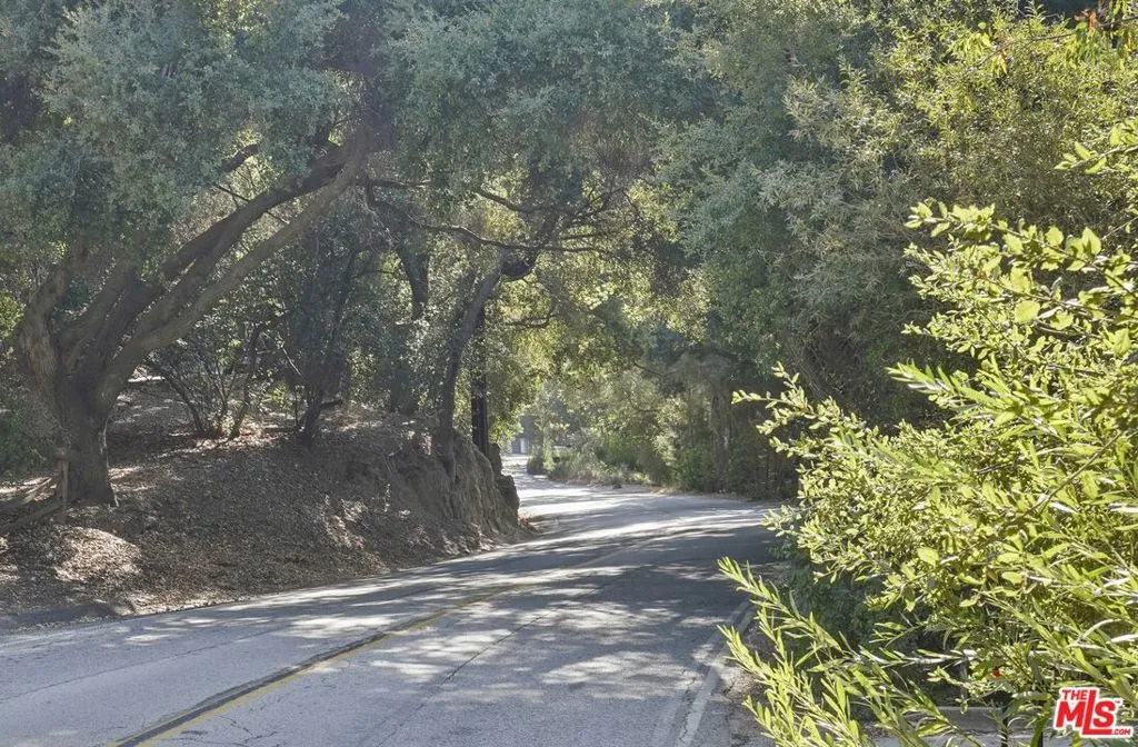 Scenic Cyn Drive Amongst Ancie