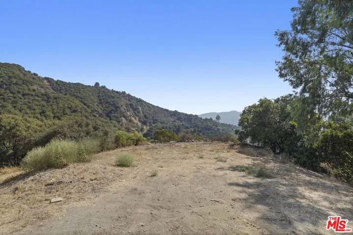 Peaceful Canyon Setting
