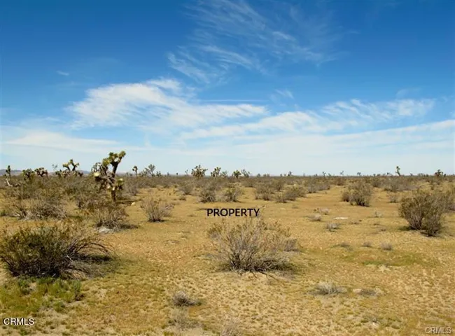 Lot Picture