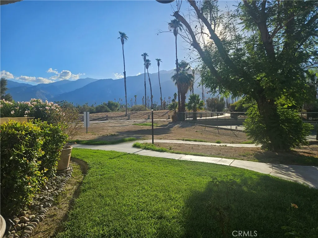 505 505 S Farrell, Palm Springs, California 92264 home-pic-32