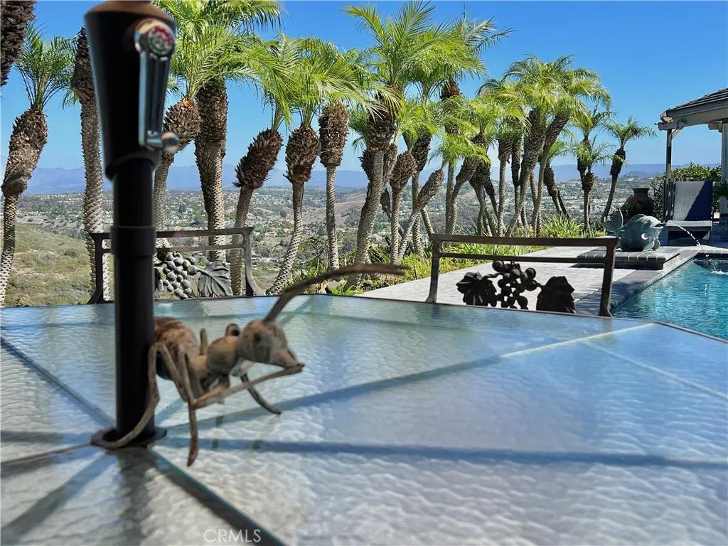 32072 Sea Island Drive, Dana Point, California 92629 home-pic-61
