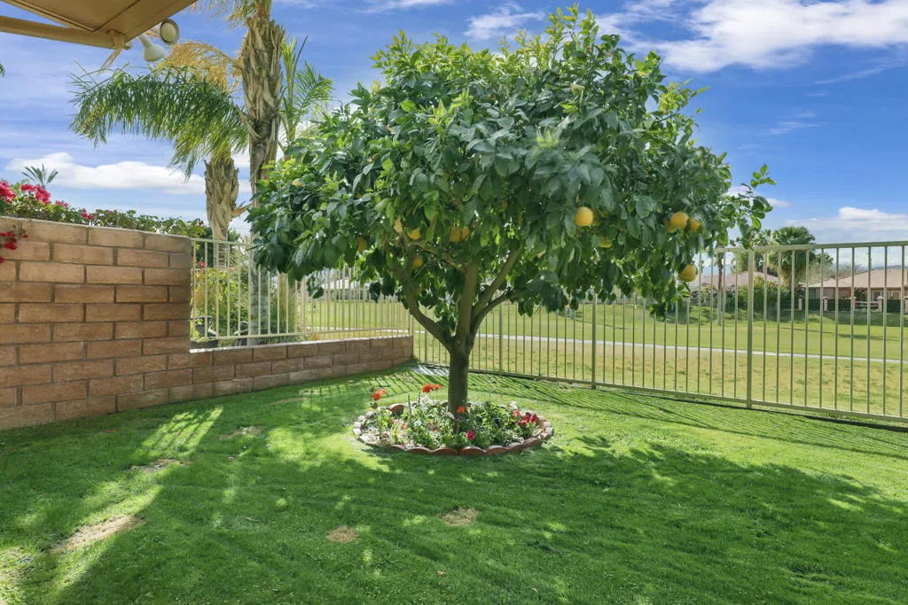 49355 Biery Street, Indio, California 92201 home-pic-11