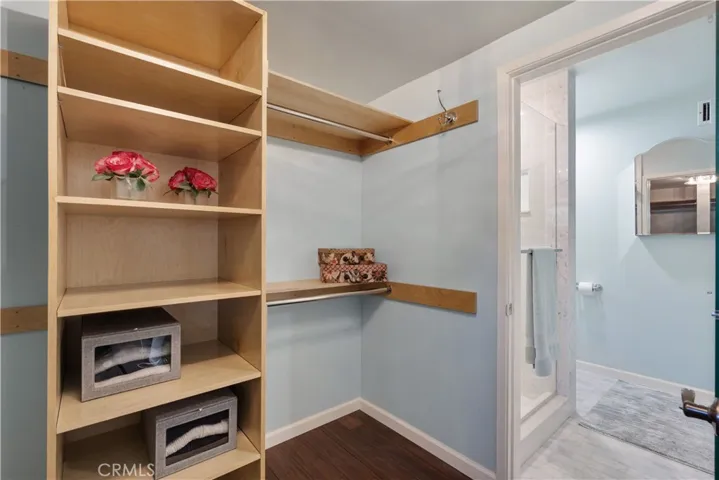 Primary Closet