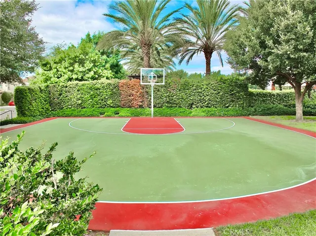 Basket Ball Court