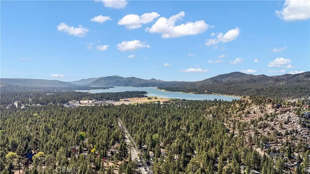 1226 Fox Farm Road, Big Bear City, California 92314 home-pic-55