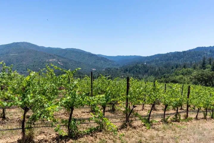 18650 Black Road, Los Gatos, California 95033