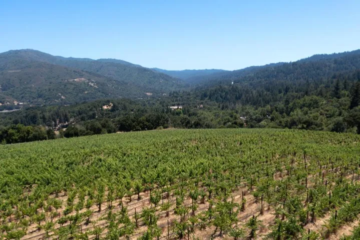 18650 Black Road, Los Gatos, California 95033