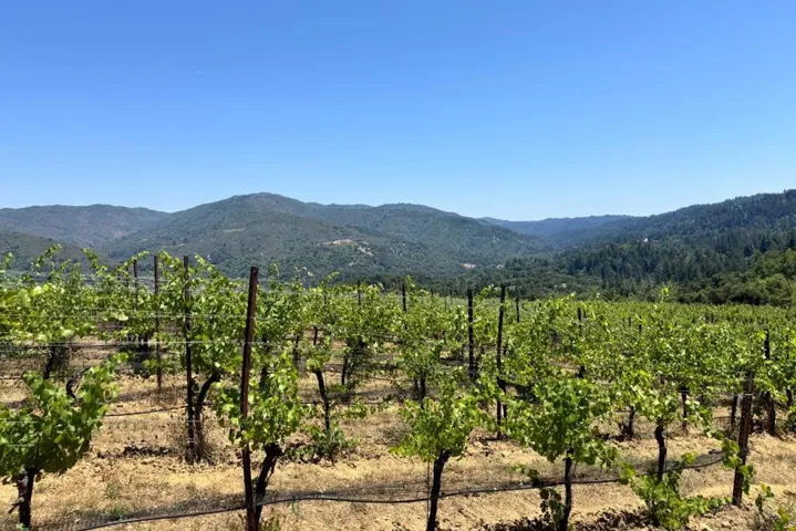 18650 Black Road, Los Gatos, California 95033