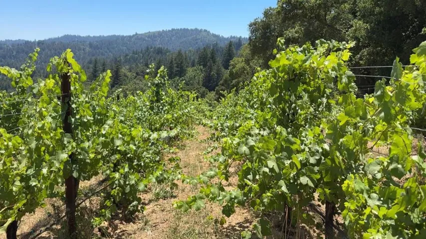 18650 Black Road, Los Gatos, California 95033