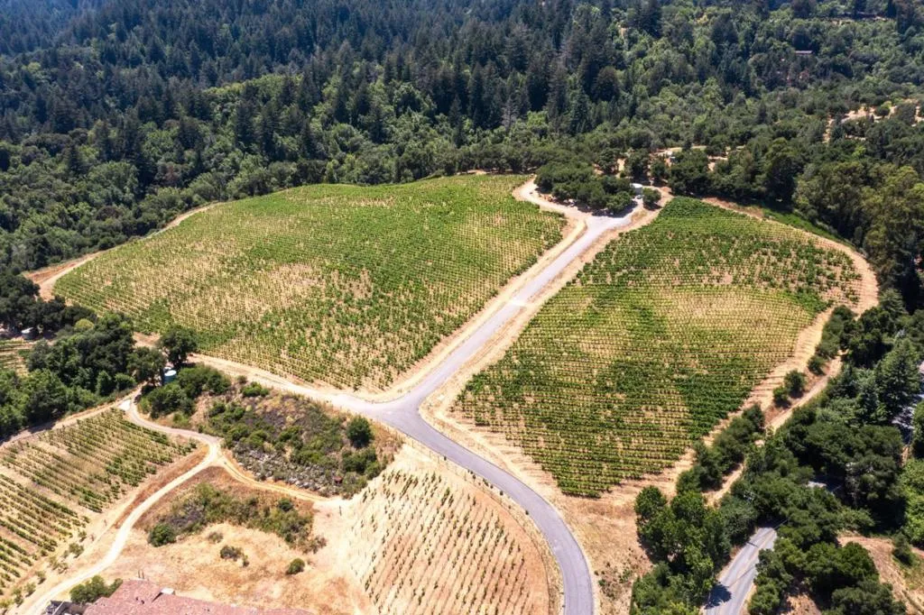 18590 Black Road, Los Gatos, California 95033 — photo 4
