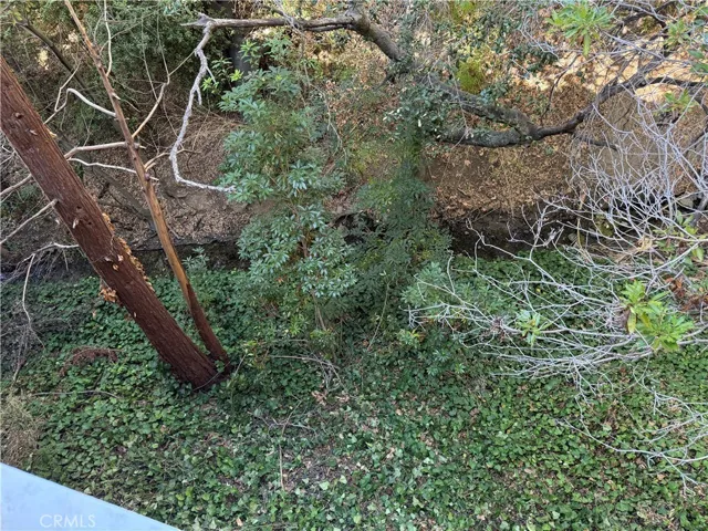View of creek from deck.