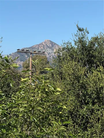 View of Bishop's Peak