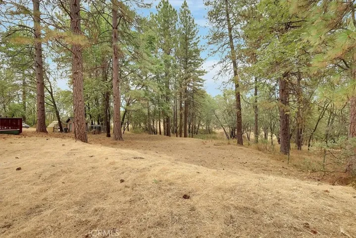 13233 Dixon Hill Road, Dobbins, California 95935