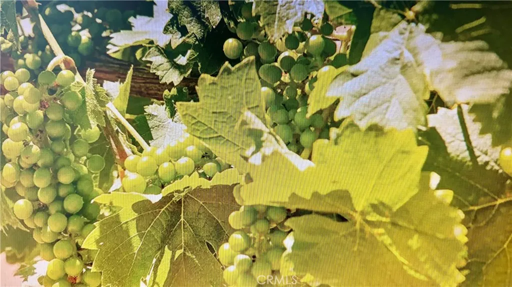 34680 Highway 79, Warner Springs, California 92086 home-pic-15