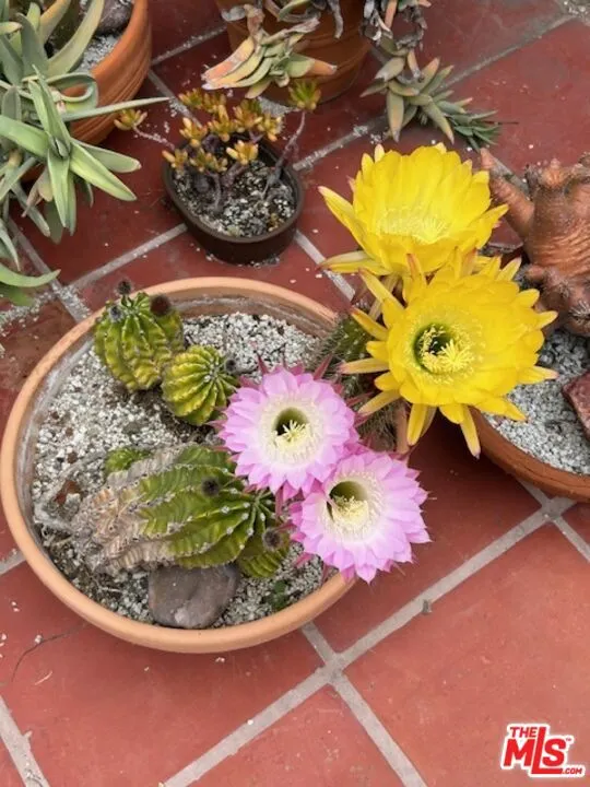 931 S Ogden Drive, Los Angeles, California 90036 home-pic-61