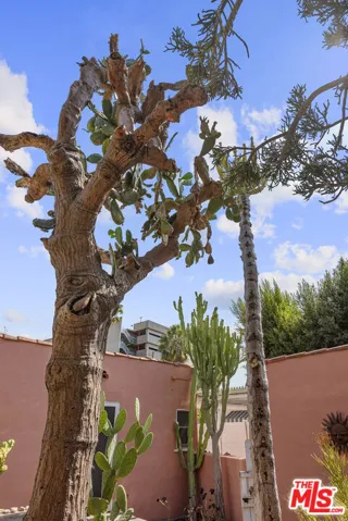 931 S Ogden Drive, Los Angeles, California 90036