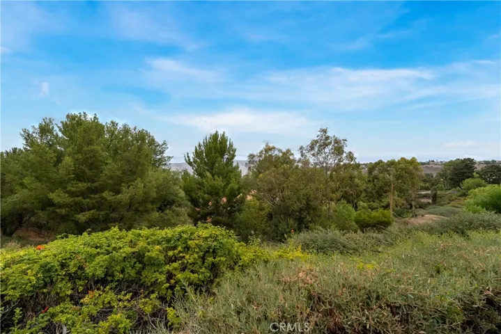 8205 E Somerset Lane, Anaheim Hills, California 92808