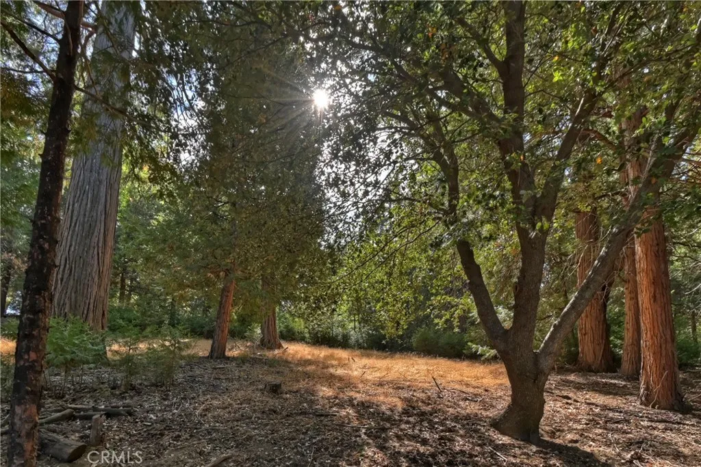 242 Weisshorn Drive, Crestline, California 92325 home-pic-58