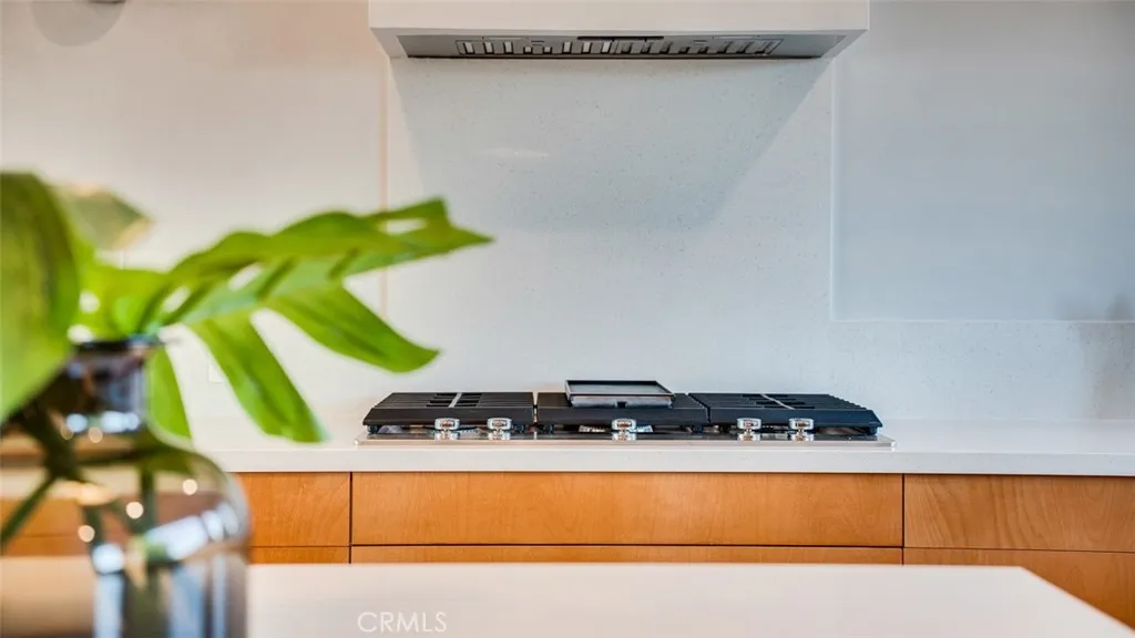 854 W Avenue 37, Los Angeles, California 90065 home-pic-28