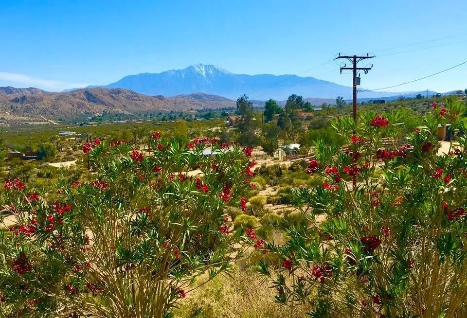 8787 Via La Scala, Morongo Valley, California 92256 home-pic-2