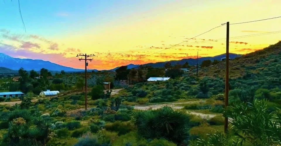 8787 Via La Scala, Morongo Valley, California 92256 home-pic-3