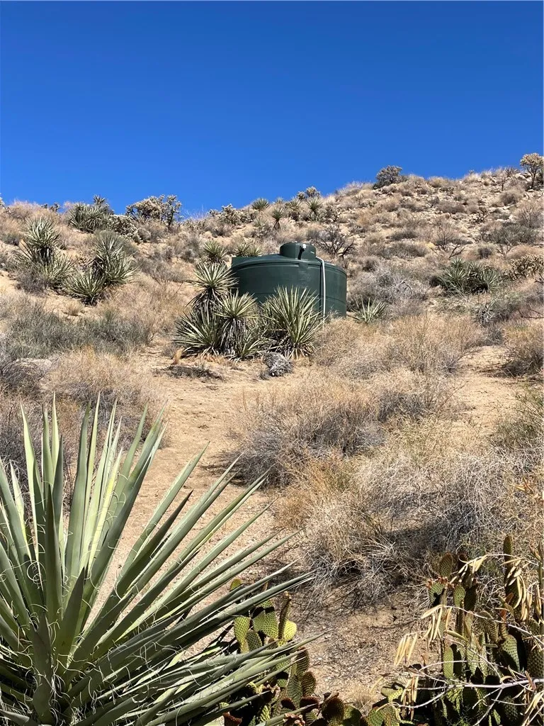 8787 Via La Scala, Morongo Valley, California 92256 home-pic-8