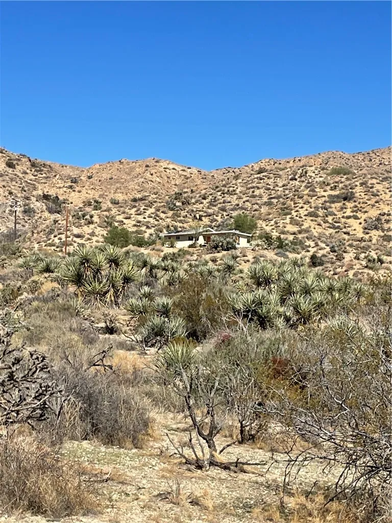 8787 Via La Scala, Morongo Valley, California 92256 home-pic-0