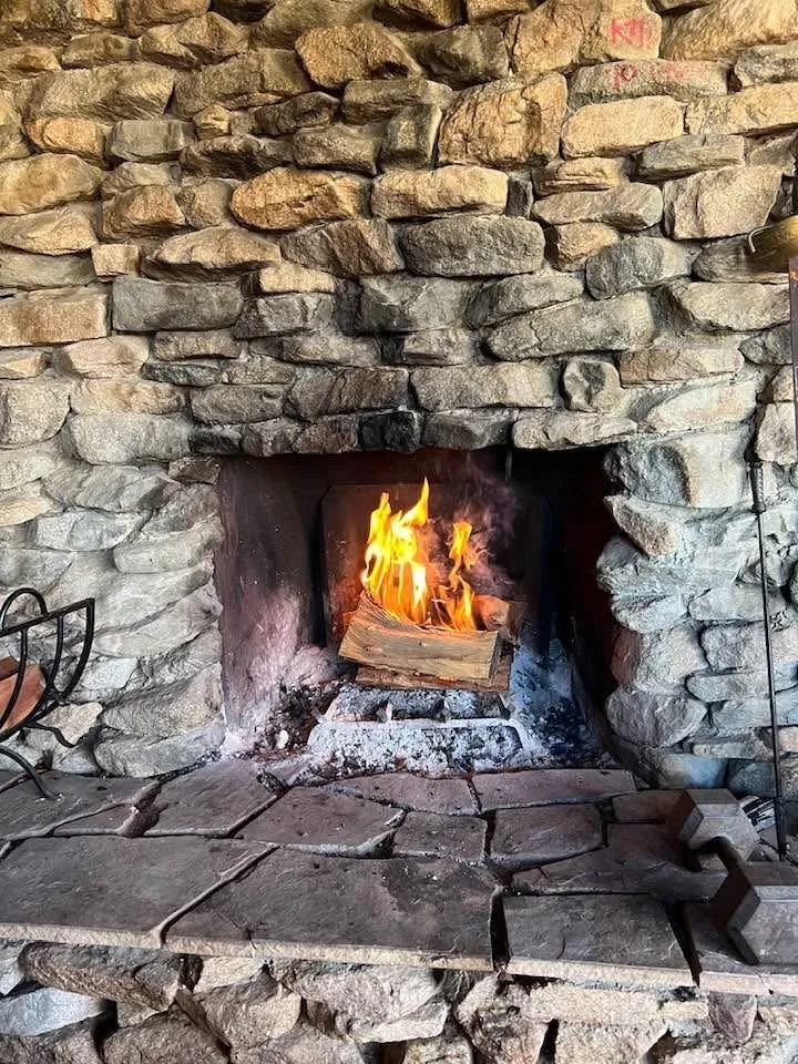 8787 Via La Scala, Morongo Valley, California 92256 home-pic-6