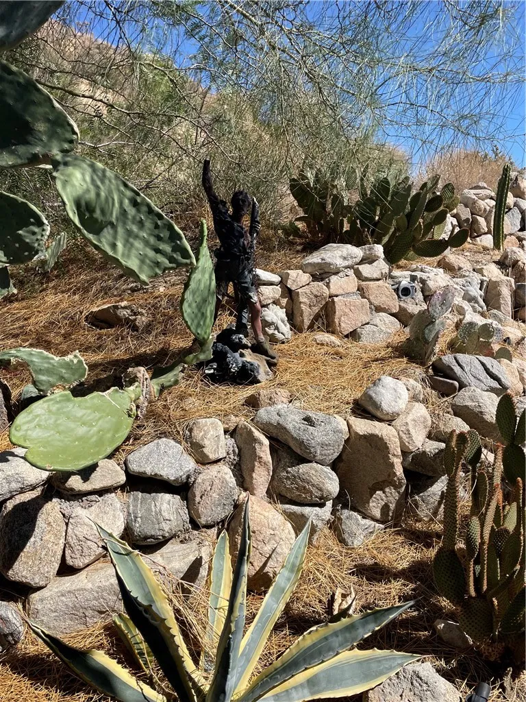 8787 Via La Scala, Morongo Valley, California 92256 home-pic-10