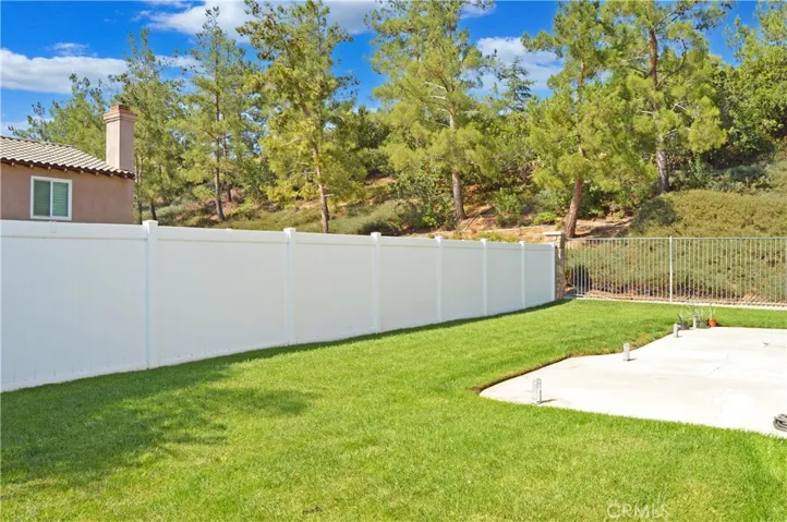 Nice-Sized Backyard with Concrete Patio, Lush Lawn, Vinyl Fencing by Neighbors & Wrought Iron Fencing to Enjoy Green Space Views to North