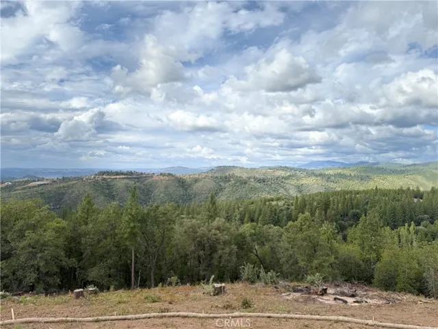 1741 Forest Meadows Drive, Murphys, California 95247