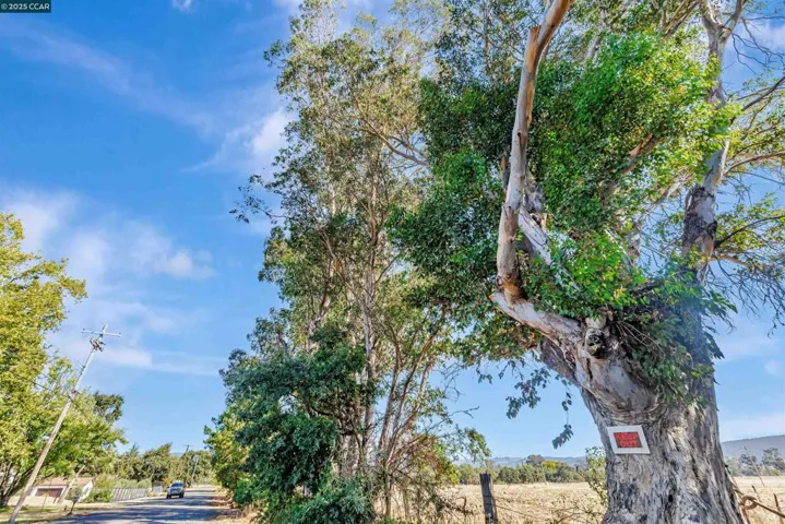 21200 Silva, Sonoma, California 95476