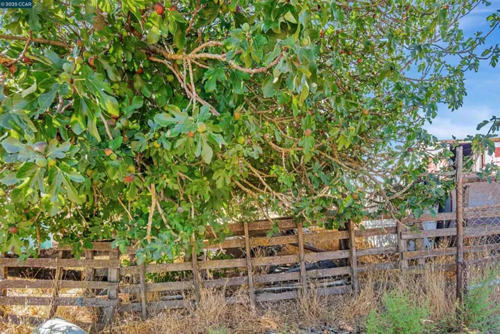 21200 Silva, Sonoma, California 95476