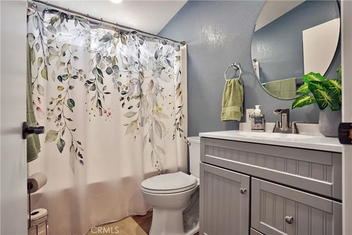 Hall Bathroom / New Toilet / Vanity