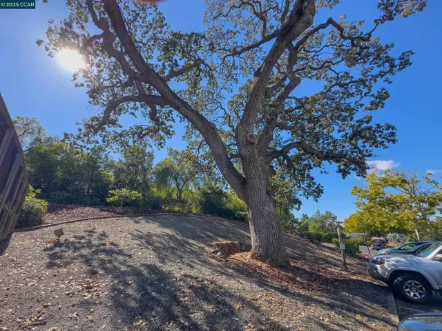 1420 Bel Air Dr 207, Concord, California 94521