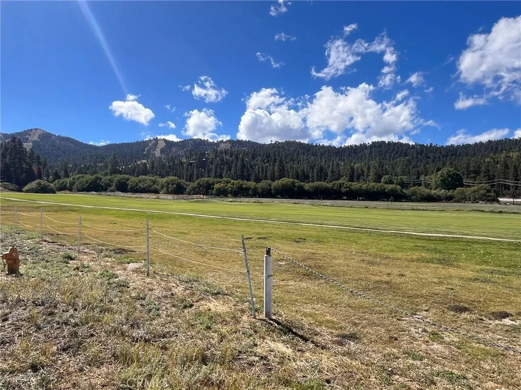 42721 Willow Avenue, Big Bear, California 92315 home-pic-18