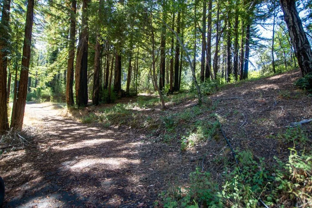 19145 Big Basin Way, Boulder Creek, California 95006 — photo 4