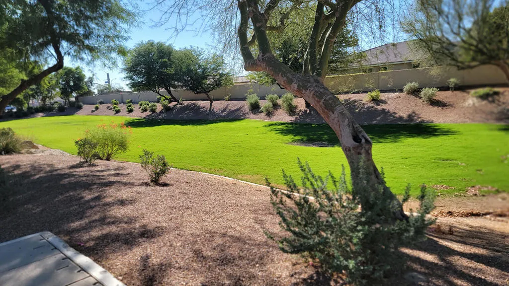 81922 Camino Cantos, Indio, California 92203 home-pic-42