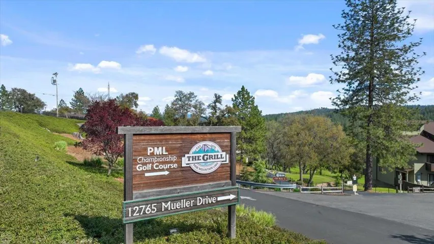 20944 Woodside Way, Groveland, California 95321