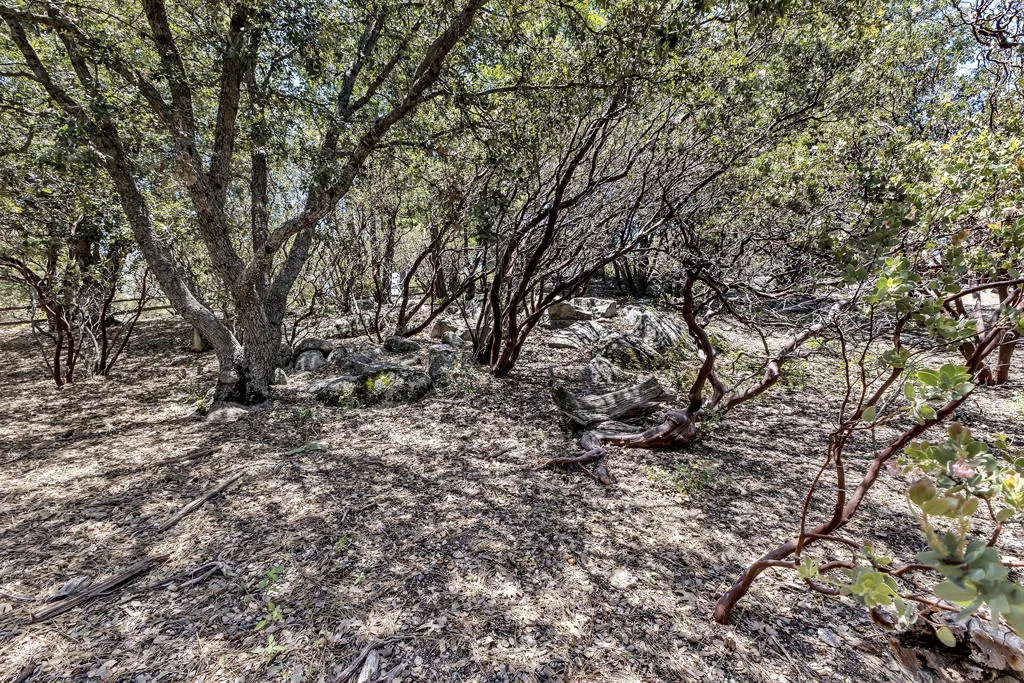 53021 Inspiration Lane, Idyllwild, California 92549 home-pic-46