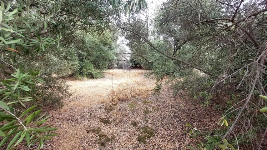 1547 Blackburn, Corning, California 96021