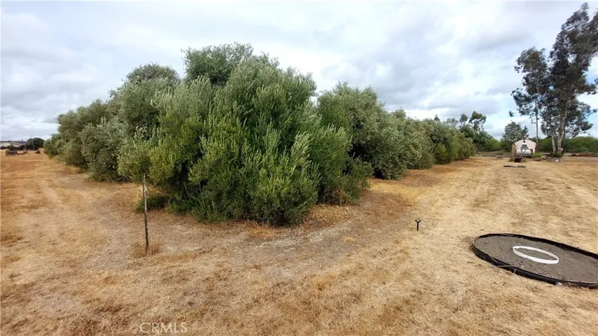 1547 Blackburn, Corning, California 96021
