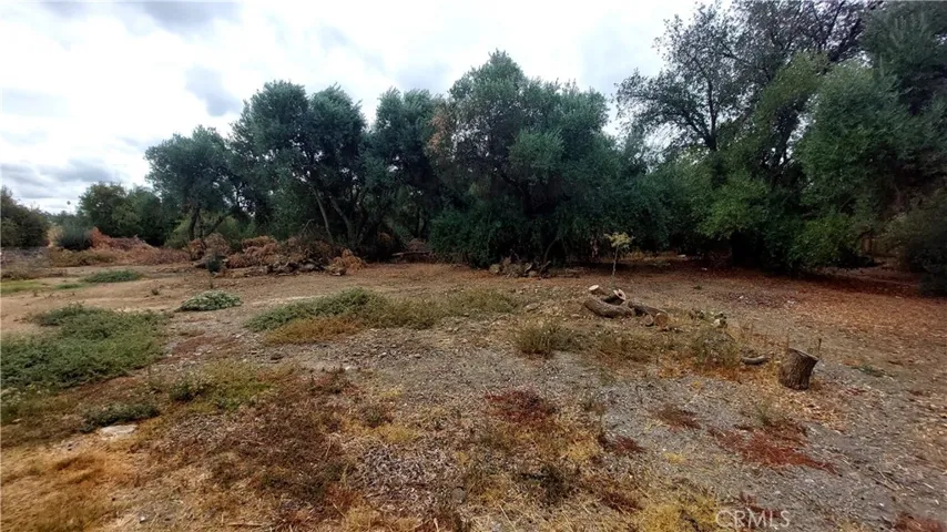1547 Blackburn, Corning, California 96021