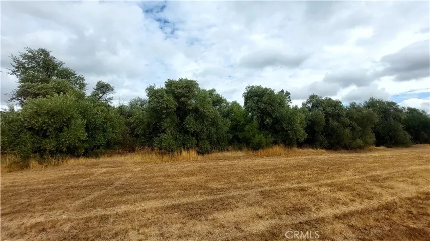 1547 Blackburn, Corning, California 96021