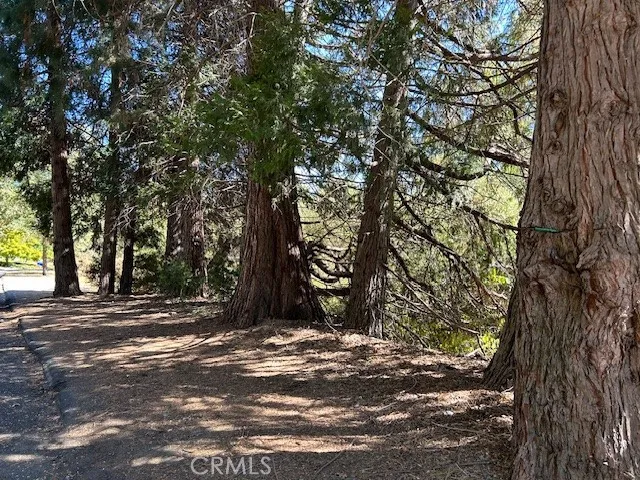 Scene across the street.  No neighbors across from home.