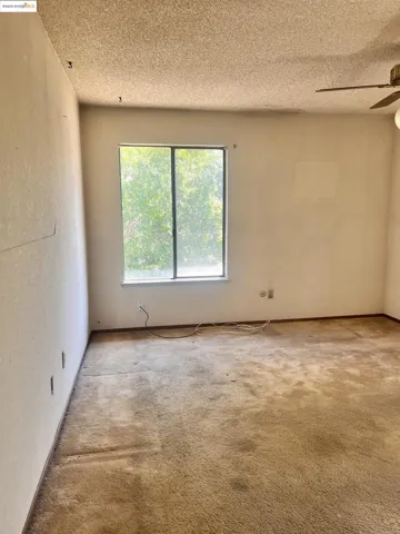 Unfurnished room featuring carpet flooring, a textured ceiling, a textured wall, and ceiling fan