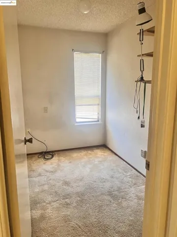 Carpeted empty room featuring a textured ceiling and a textured wall