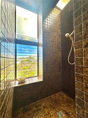 Primary Shower w/skylight and view