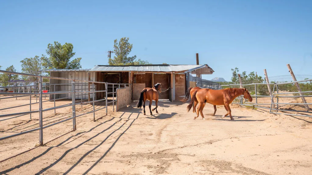 63220 Cielito Drive, Joshua Tree, California 92252 home-pic-26