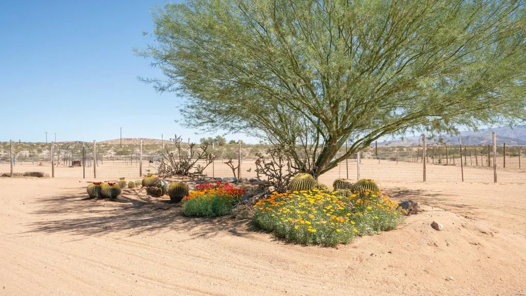 63220 Cielito Drive, Joshua Tree, California 92252 home-pic-34